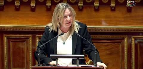 Expression de Michelle Gréaume au Sénat lors du débat sur les violences au quotidien