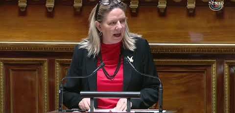Budget 2026: intervention de Michelle Gréaume "contre un budget qui organise un surarmement"