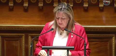 Projet de loi RIPOST : intervention de Mihelle Gréaume au nom du groupe CRCE K
