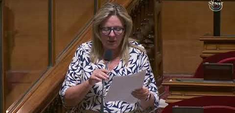 Retrouvez l'intervention de Michelle Gréaume à l'occasion du texte sur le travailler le 1er mai