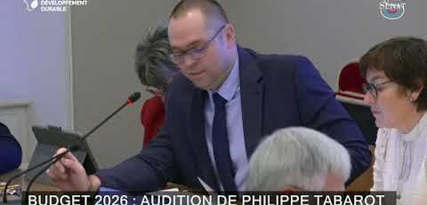 Transports: "Il faut un plan pluriannuel pour sécuriser les financements", selon Alexandre Basquin