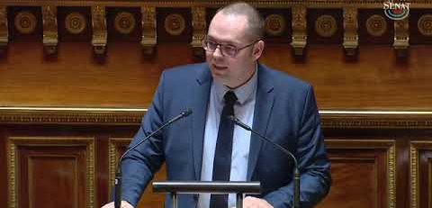 "Le monde numérique est devenu un monstre numérique", alerte Alexandre Basquin au Sénat