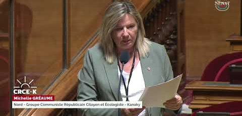Retrouvez la question orale de Michelle Gréaume sur le cadre réglementaire de l'accueil familial