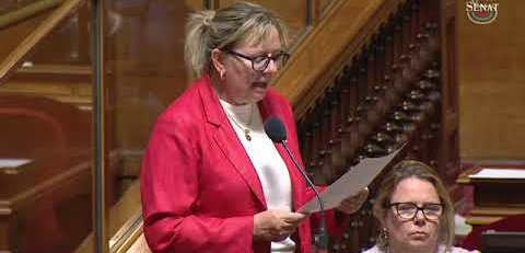 Retrouvez l'intervention de Michelle Gréaume à propos de l'audiovisuel public lors des QAG
