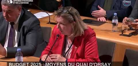 Situation à Gaza, Michelle Gréaume interroge le gouvernement sur le rôle joué par la France